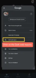 Click on Dark web report 